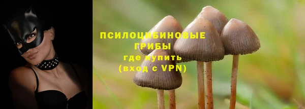 соль курить ск Богородицк
