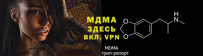 дживик Богданович