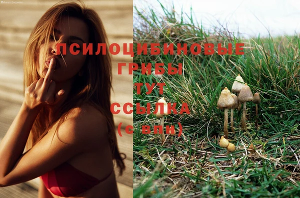 соль курить ск Богородицк