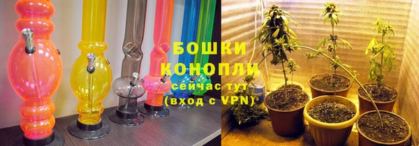 винт Бородино