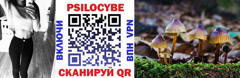 дарнет шоп  Далматово  Псилоцибиновые грибы Psilocybine cubensis 